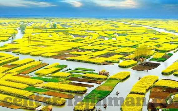 麻豆系列 果冻传媒-麻豆系列与果冻传媒，网络内容创作的独特视角与影响